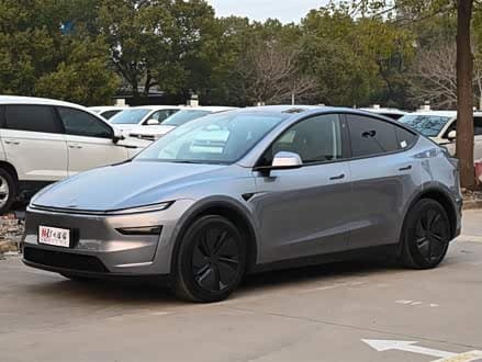Model Y - фото 1