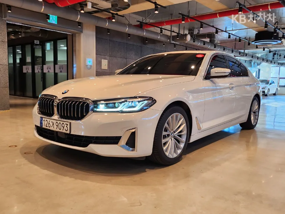 BMW 올뉴5시리즈 (G30) 520i Luxury - фото 1