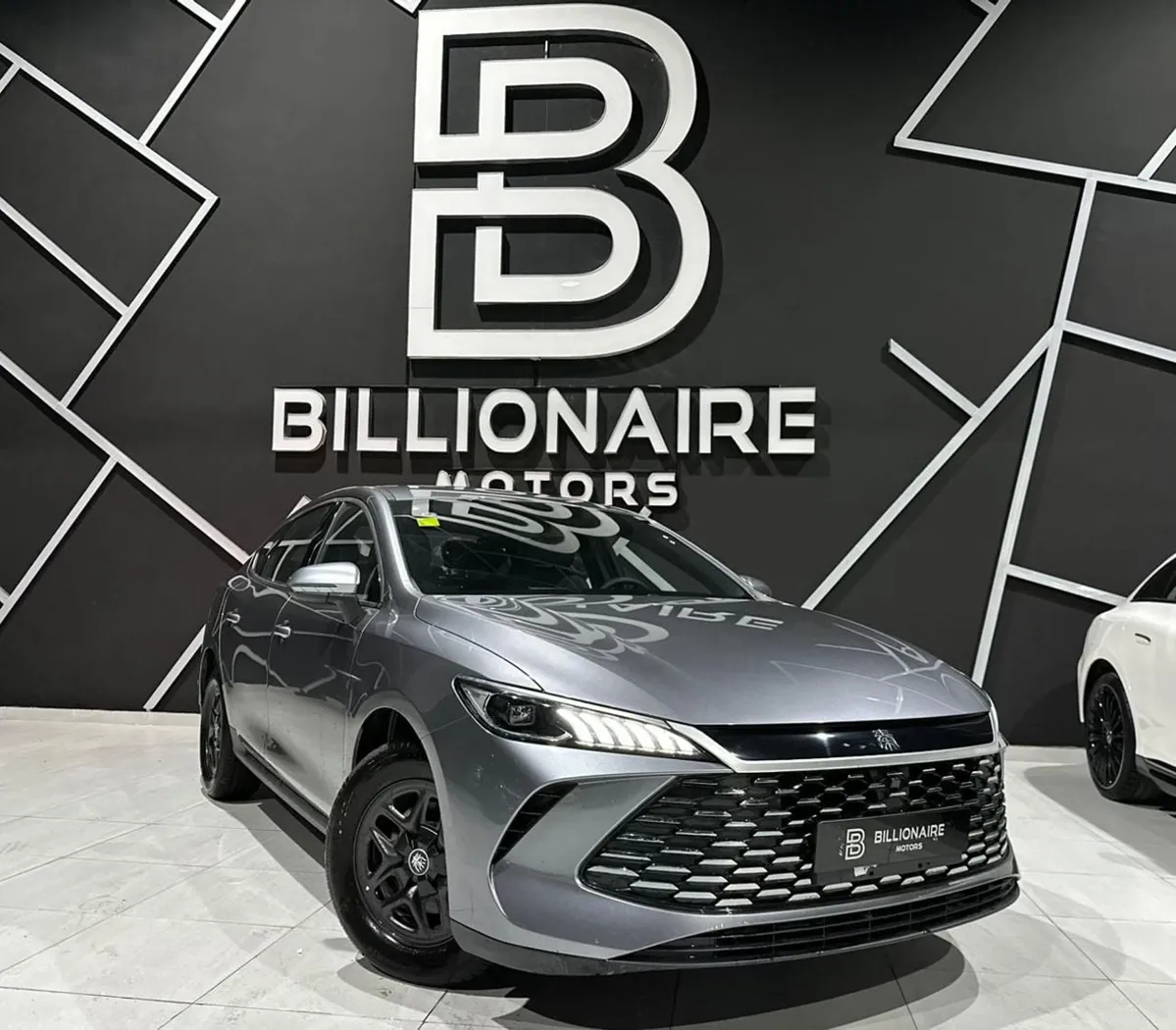 BYD QIN PLUS - фото 1