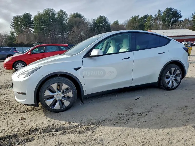Tesla Model Y - фото 1