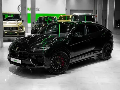Lamborghini Urus - фото 1