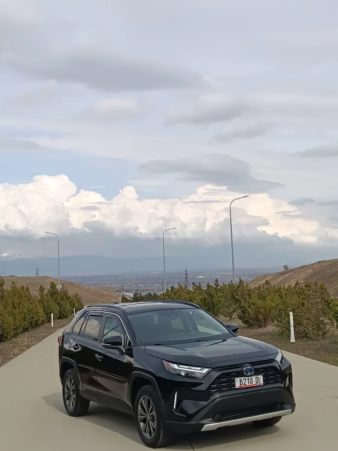 Toyota RAV 4 - фото 1