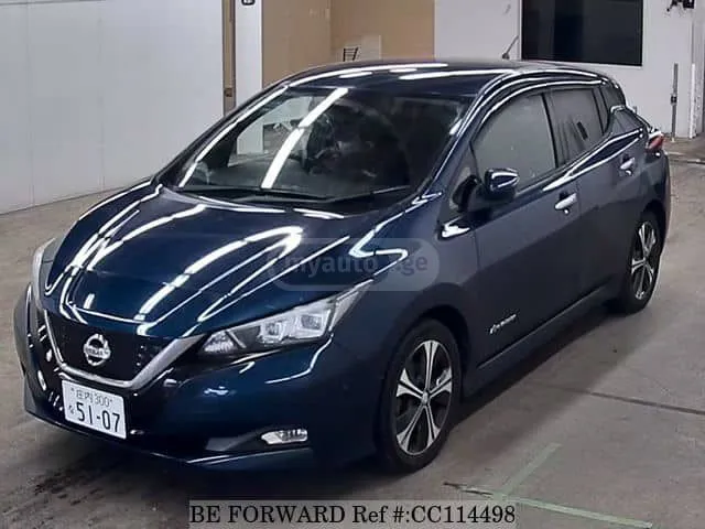Nissan Leaf - фото 1