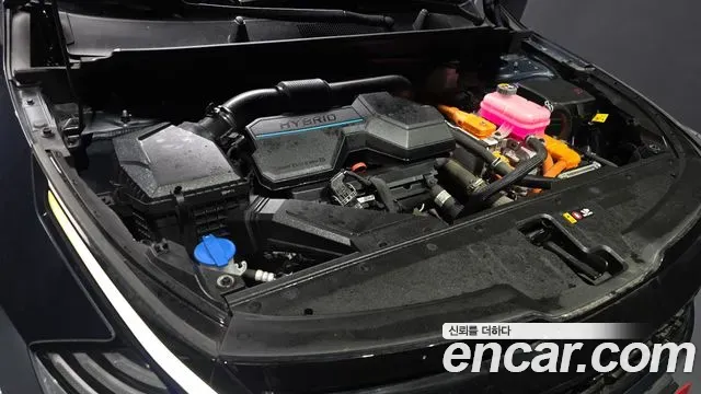 Kia Sportage - фото 1