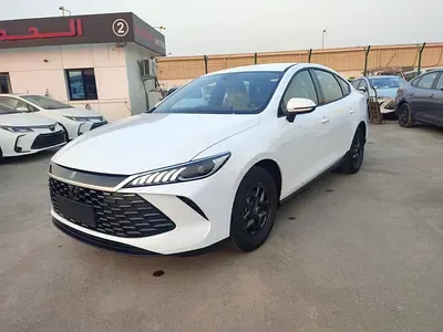 BYD Qin Plus - фото 1
