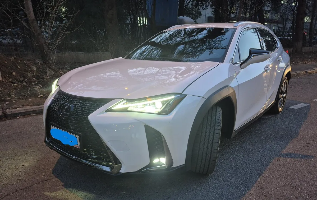 Lexus UX250h - фото 1