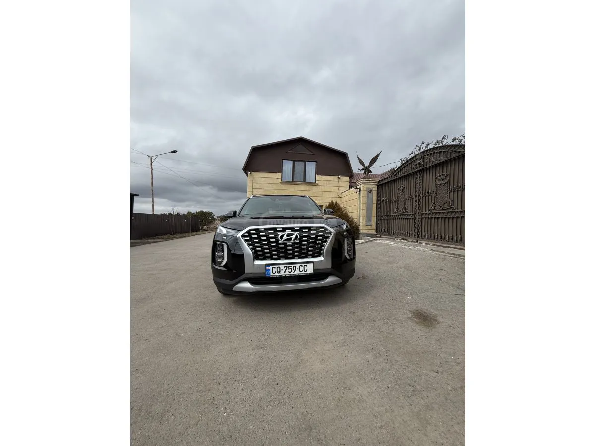 Hyundai Palisade - фото 1