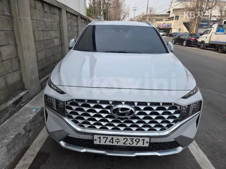 Hyundai Santa FE - фото 1