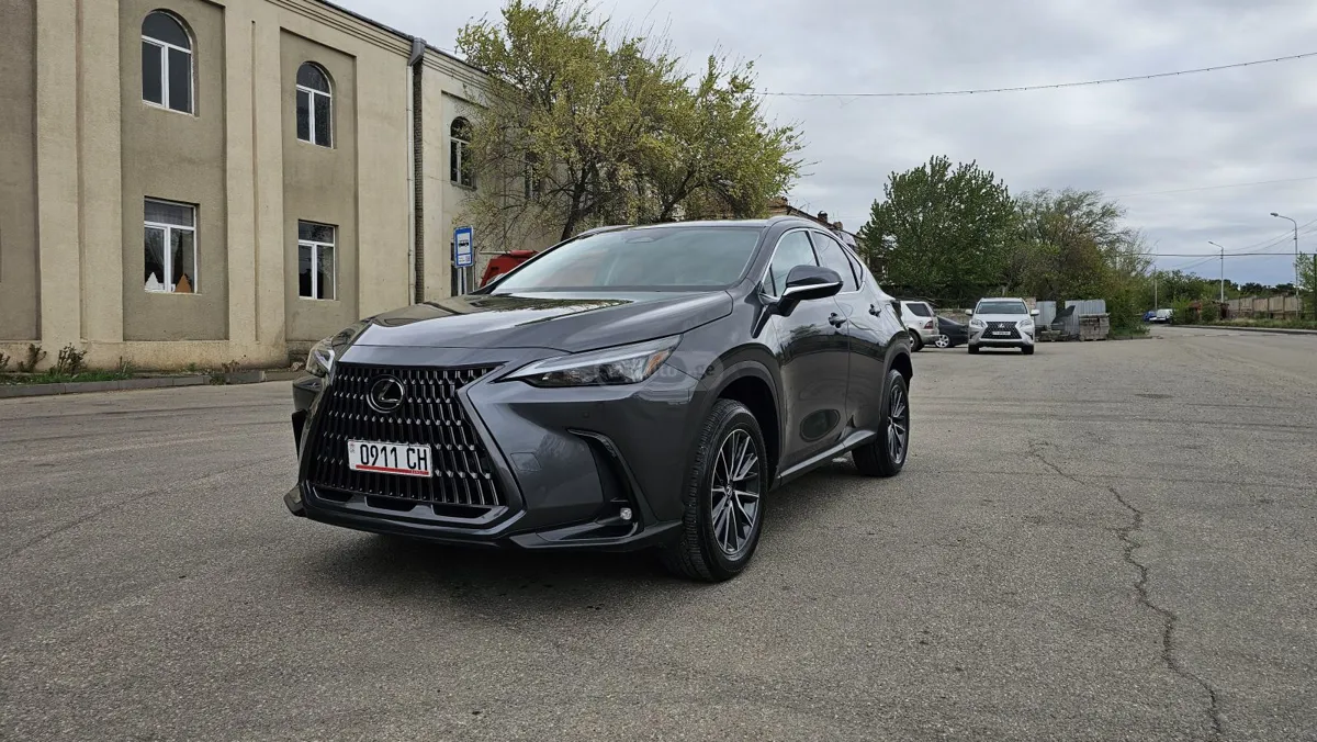 Lexus NX 250 - фото 1