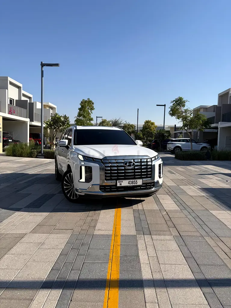 Hyundai Palisade - фото 1