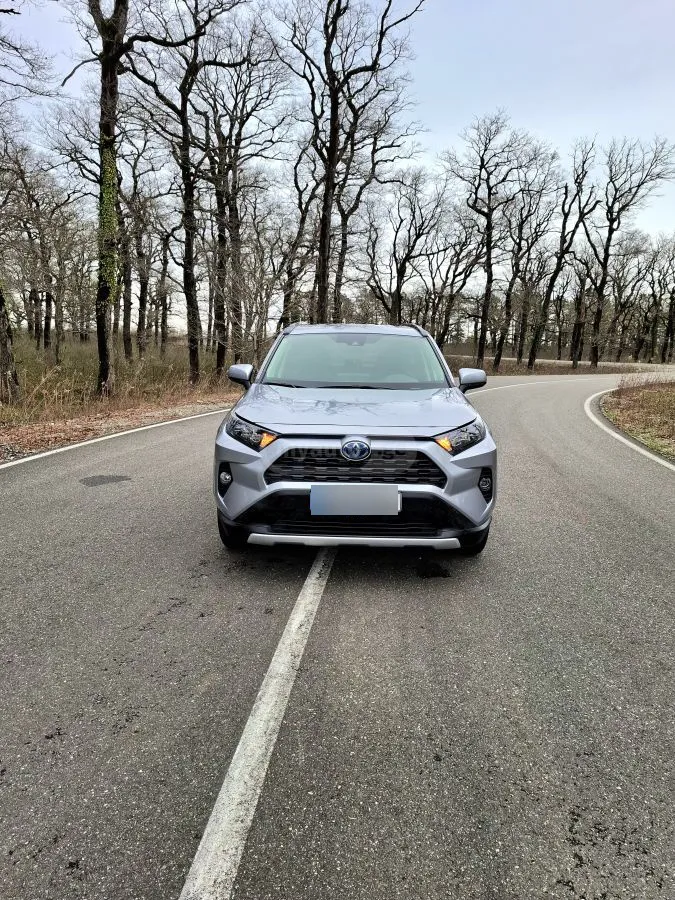 Toyota RAV 4 - фото 1