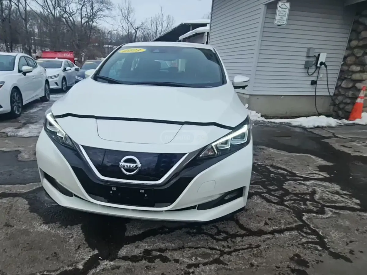 Nissan Leaf - фото 1