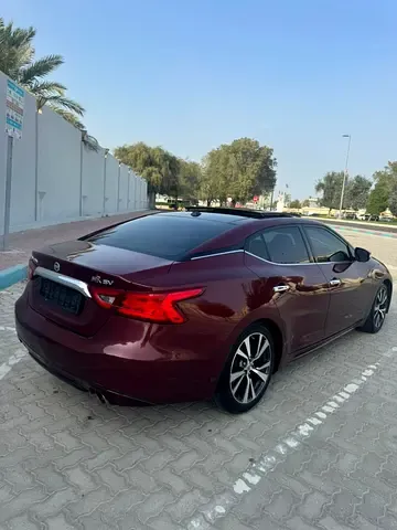 Nissan Maxima - фото 1