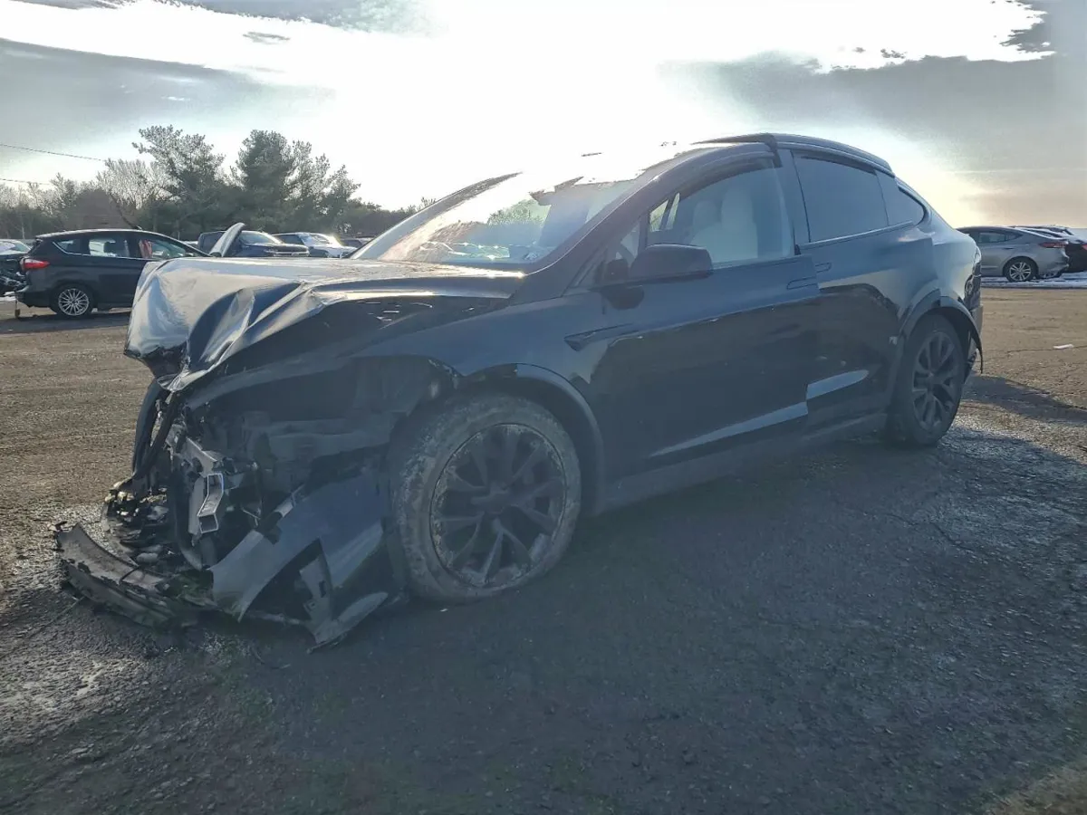 TESLA MODEL X - фото 1