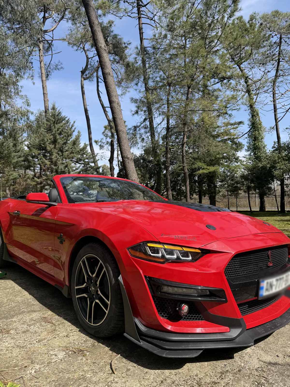 Ford Mustang - фото 1