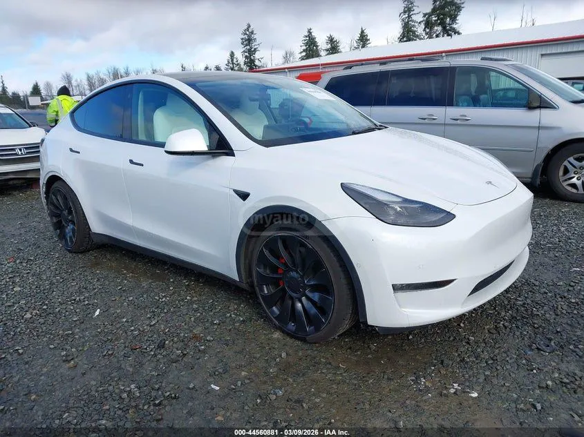 Tesla Model Y - фото 1