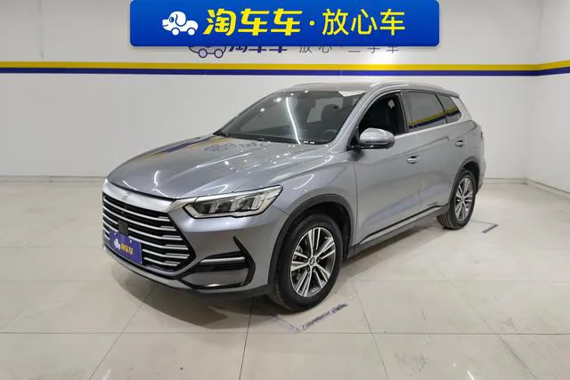 BYD Pro - фото 1