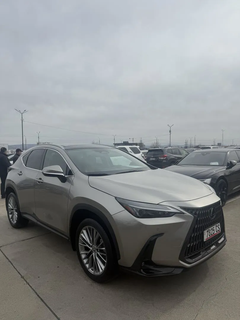 Lexus NX 350 - фото 1