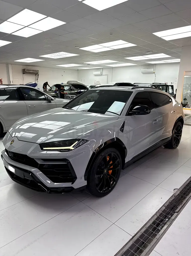Lamborghini Urus - фото 1