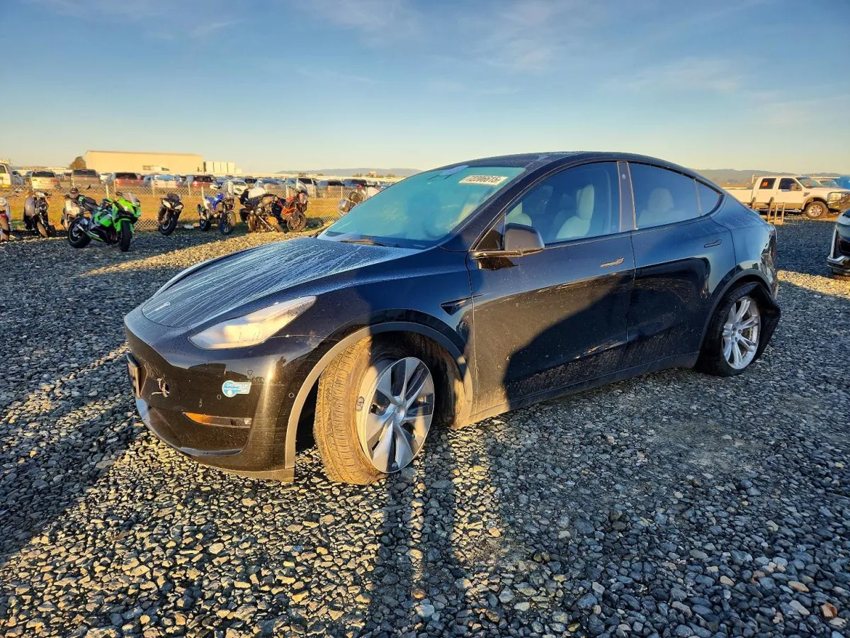TESLA MODEL Y - фото 1