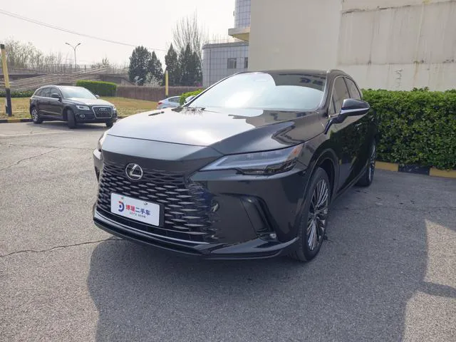 Lexus RX - фото 1