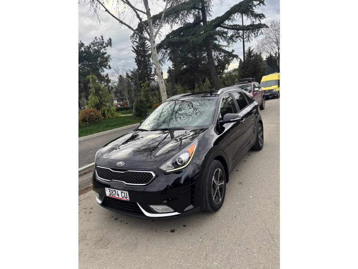 Kia Niro - фото 1