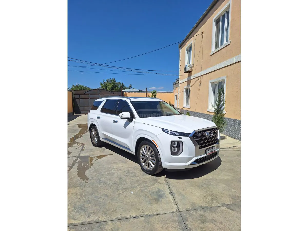 Hyundai Palisade - фото 1