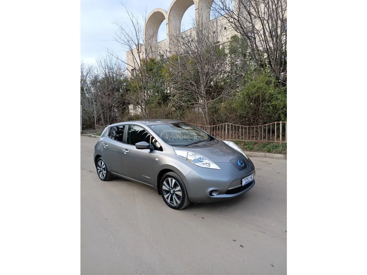 Nissan Leaf - фото 1