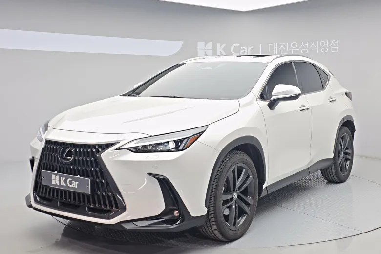 렉서스 NX - фото 1