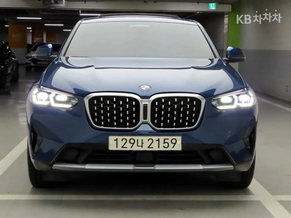 BMW New X4 (G02) xDrive 20d xLine - фото 1