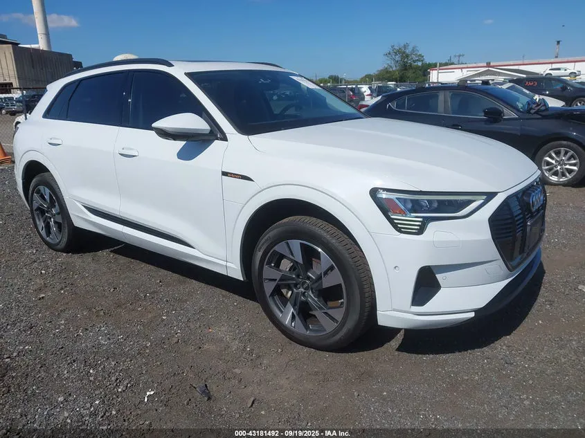AUDI E-TRON PREMIUM QUATTRO - фото 1