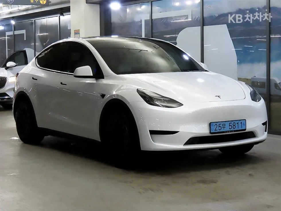 Tesla Model Y RWD 기본형 - фото 1