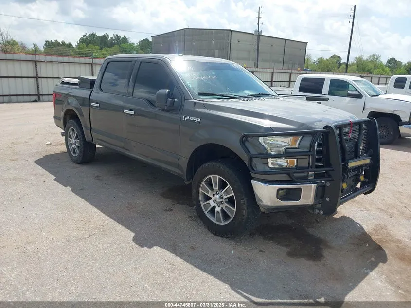 FORD F-150 XLT - фото 1
