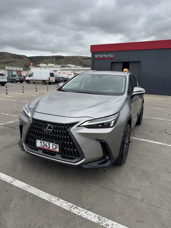 Lexus NX 250 - фото 1