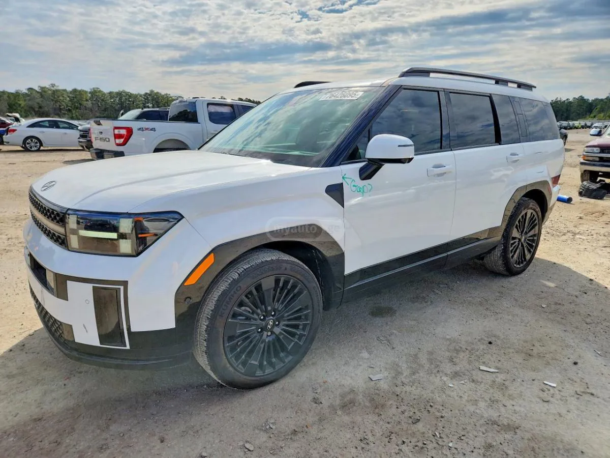 Hyundai Santa FE - фото 1