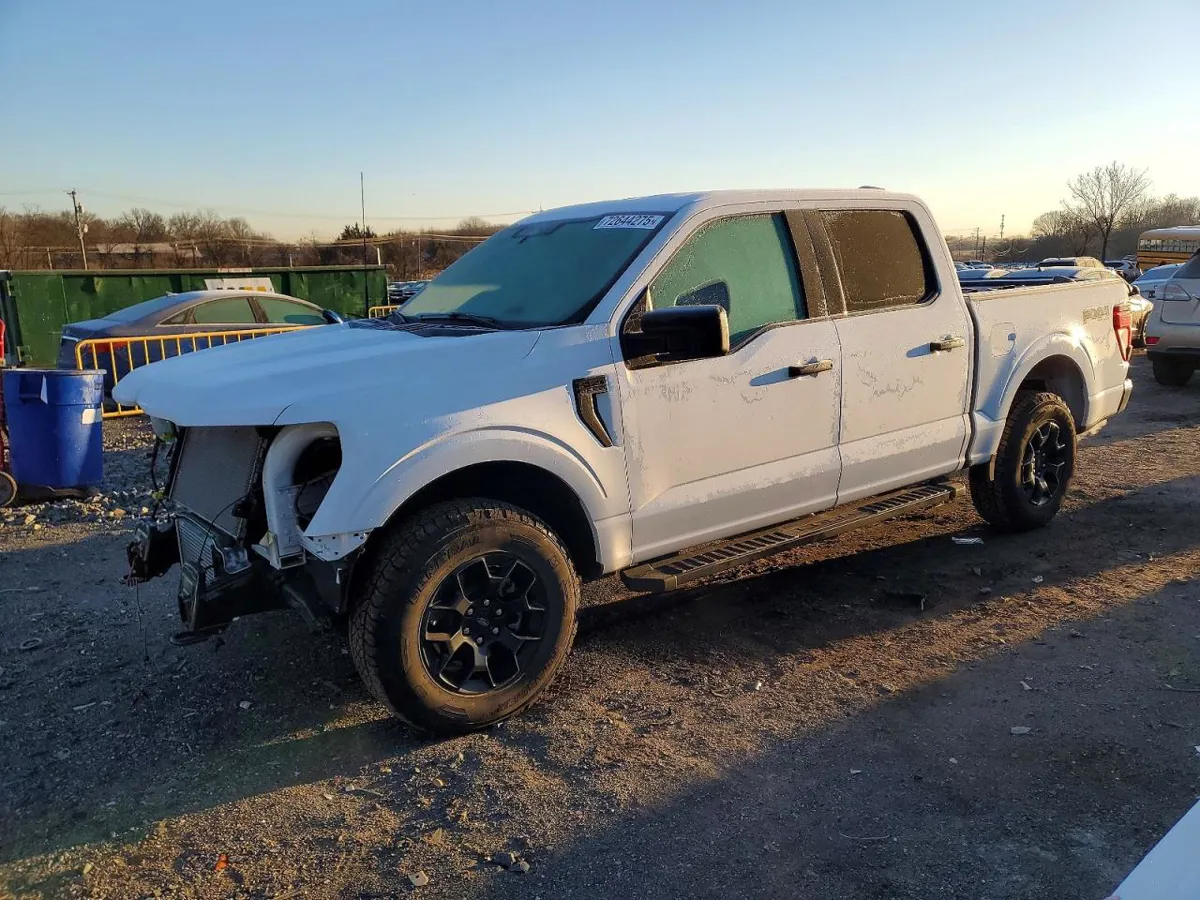 FORD F150 - фото 1