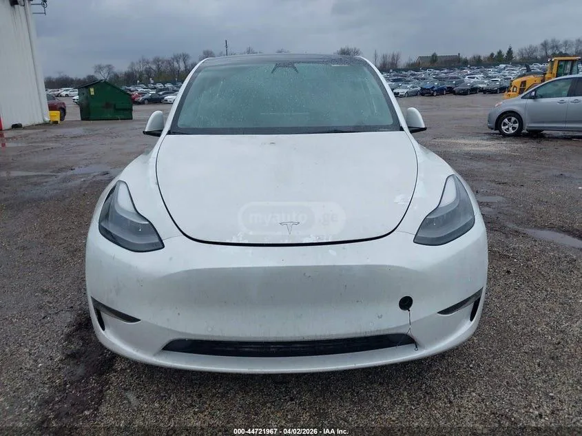 Tesla Model Y - фото 1