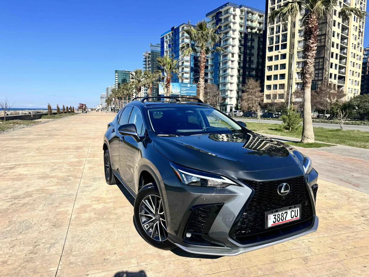 Lexus nx250 - фото 1