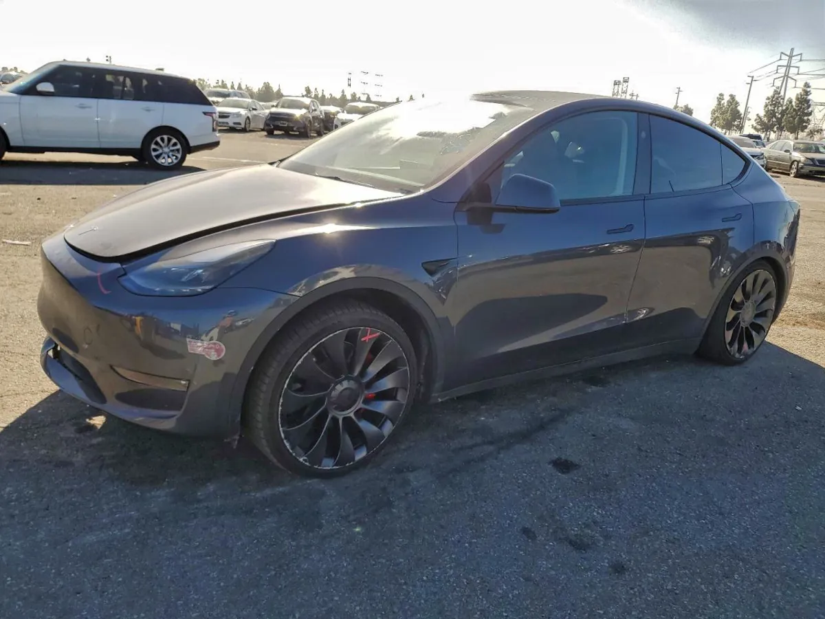 TESLA MODEL Y - фото 1