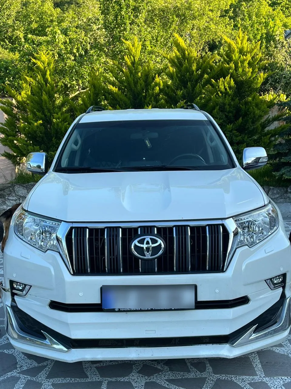 Toyota Land Cruiser Prado - фото 1