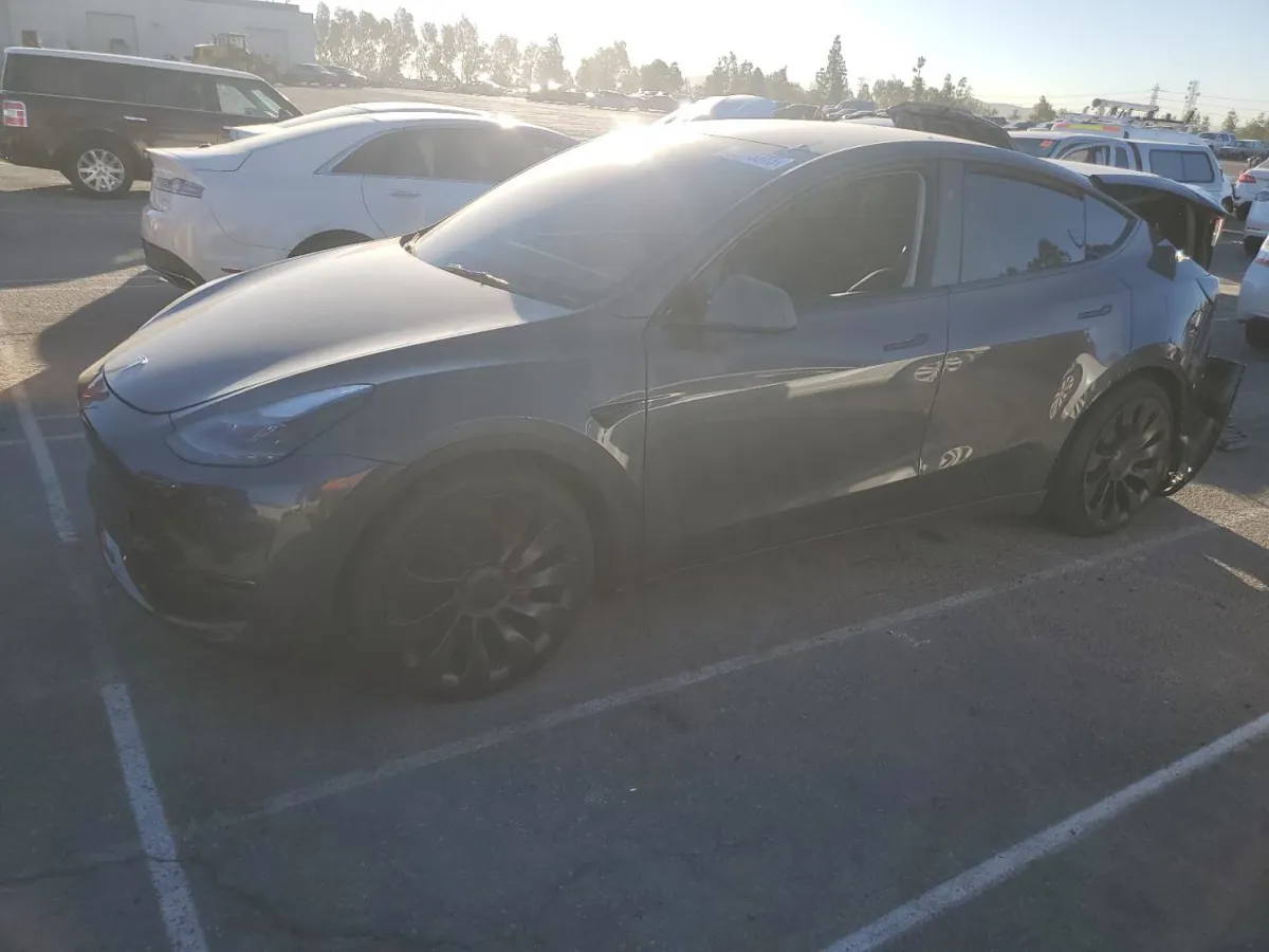 TESLA MODEL Y - фото 1