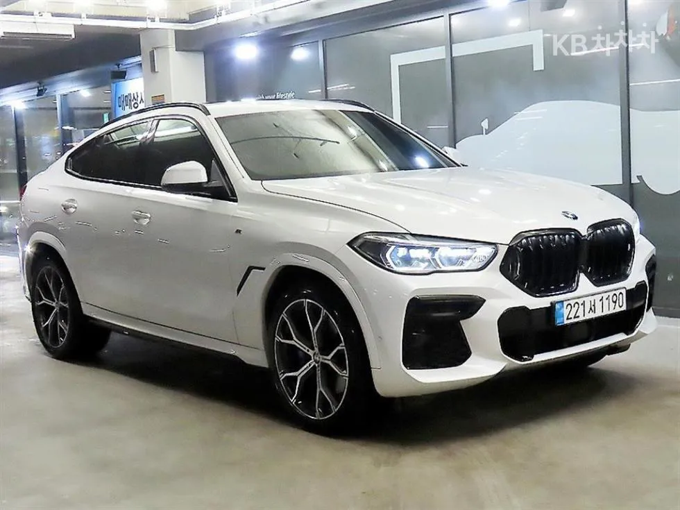 BMW X6(G06) xDrive 30d M Sport - фото 1