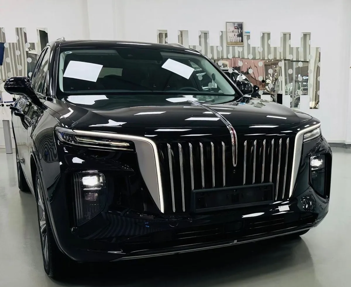 HONGQI EHS9 - фото 1