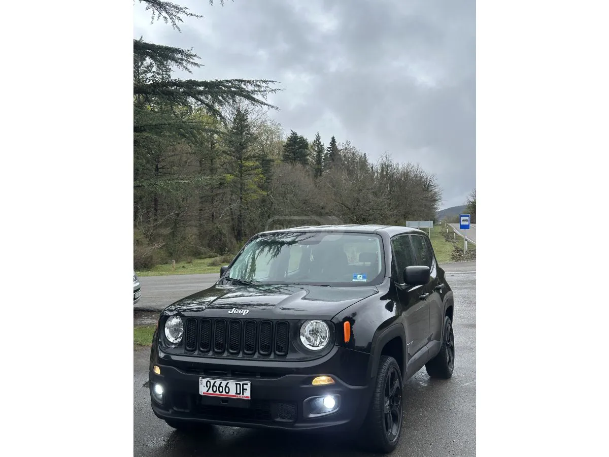 Jeep Renegade - фото 1