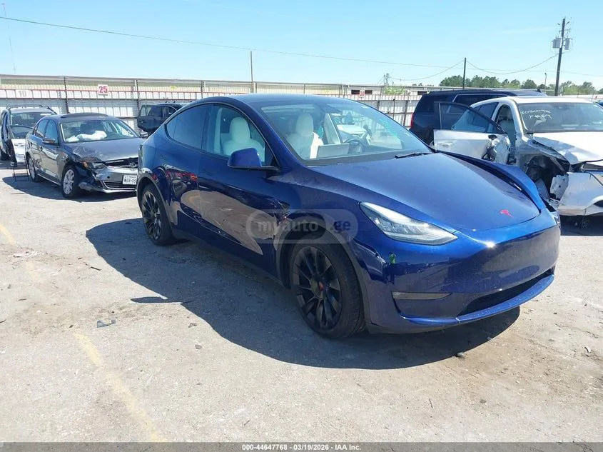 Tesla Model Y - фото 1