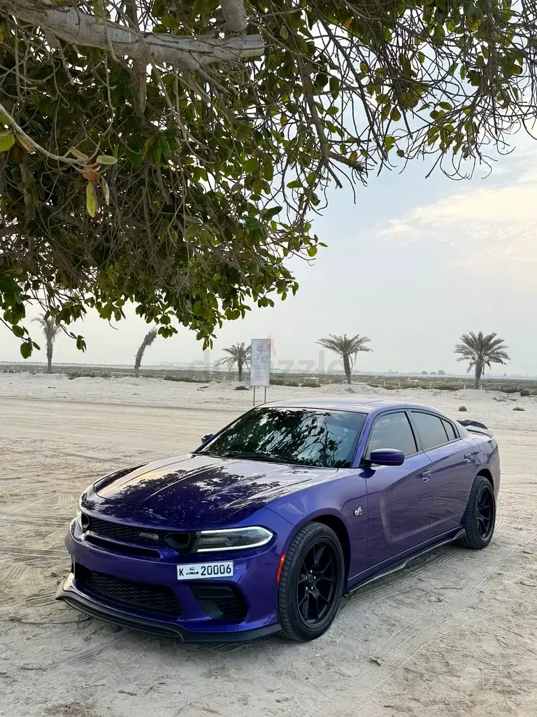 Dodge Charger - фото 1