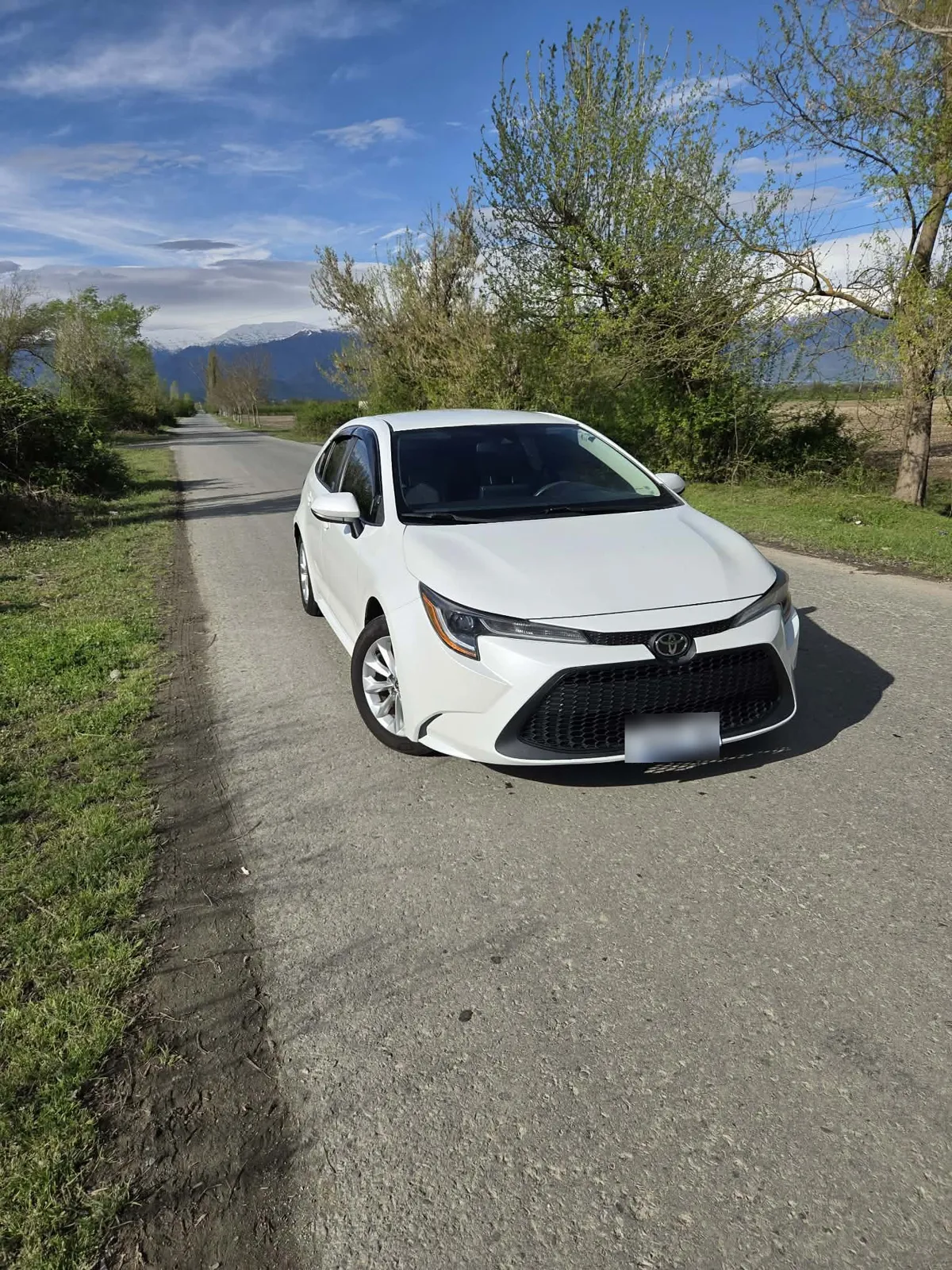 Toyota Corolla - фото 1