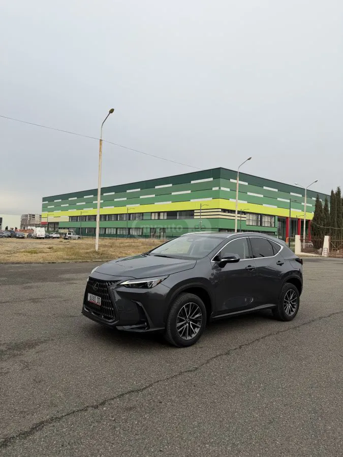 Lexus NX 350 - фото 1