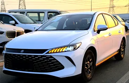 BYD Qin Plus - фото 1