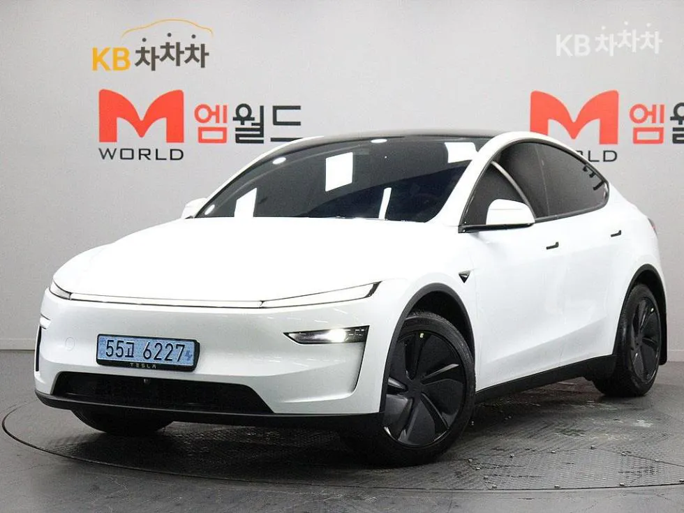 Tesla Model Y RWD 기본형 - фото 1